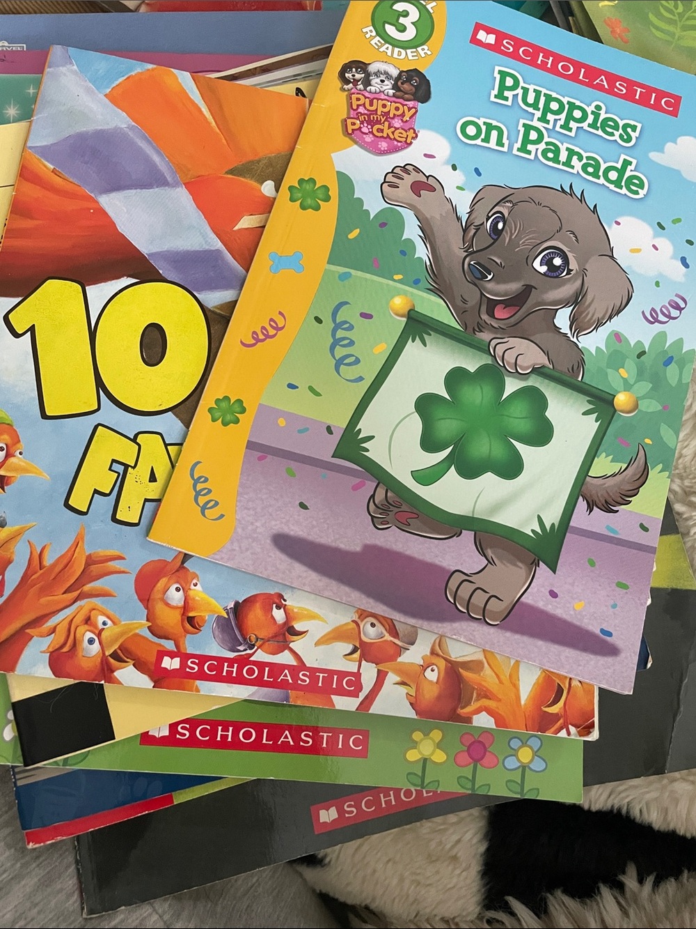 Scholastic and other book bundle